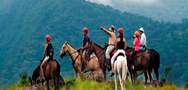 Horse Riding Tours